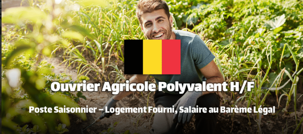 وظيفة عامل زراعي في بلجيكا، سكن مضمون، التكوين على الرافعة الشوكية (Heftruck)، الفرص الدولية للذكور والإناث، الراتب التنافسي البلجيكي.