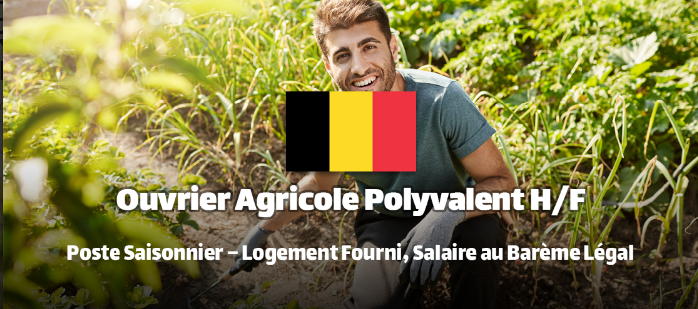 وظيفة عامل زراعي في بلجيكا، سكن مضمون، التكوين على الرافعة الشوكية (Heftruck)، الفرص الدولية للذكور والإناث، الراتب التنافسي البلجيكي.